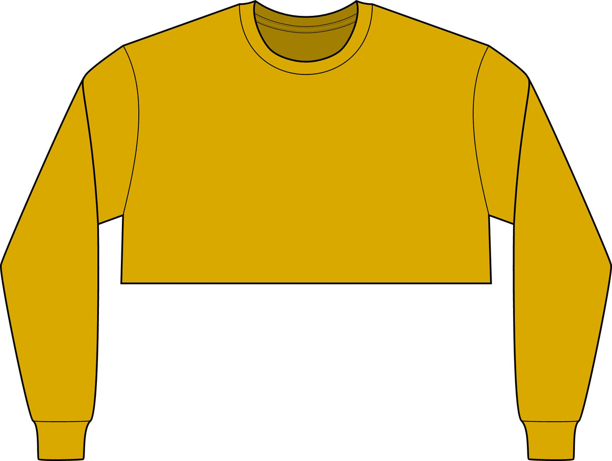 Michigan Logo Crop Long Sleeve Tee
