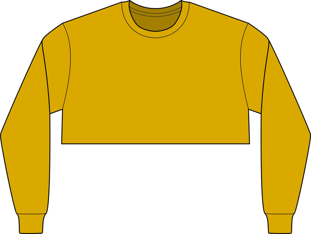 Michigan Logo Crop Long Sleeve Tee