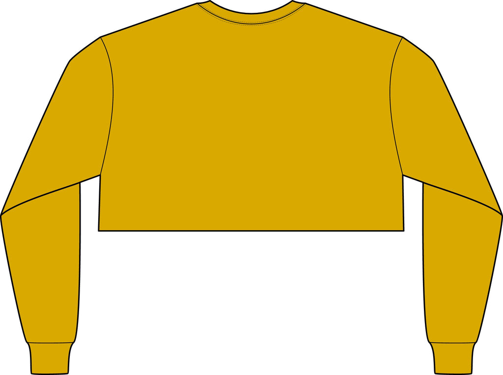 Michigan Logo Crop Long Sleeve Tee